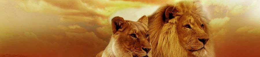 Afrika Rundreisen und Erlebnisreisen
